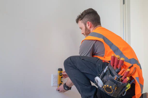 Best Electric Panel Repair  in Raoul, GA